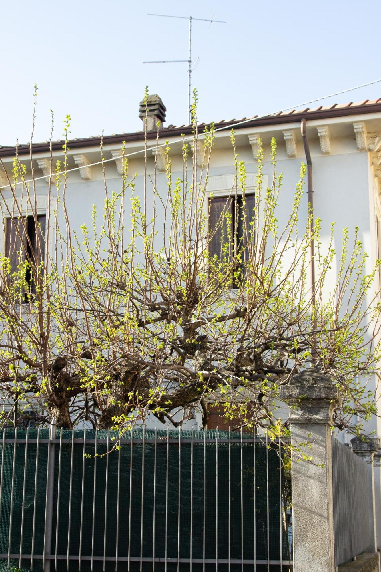 Verona Nest Buitenkant foto