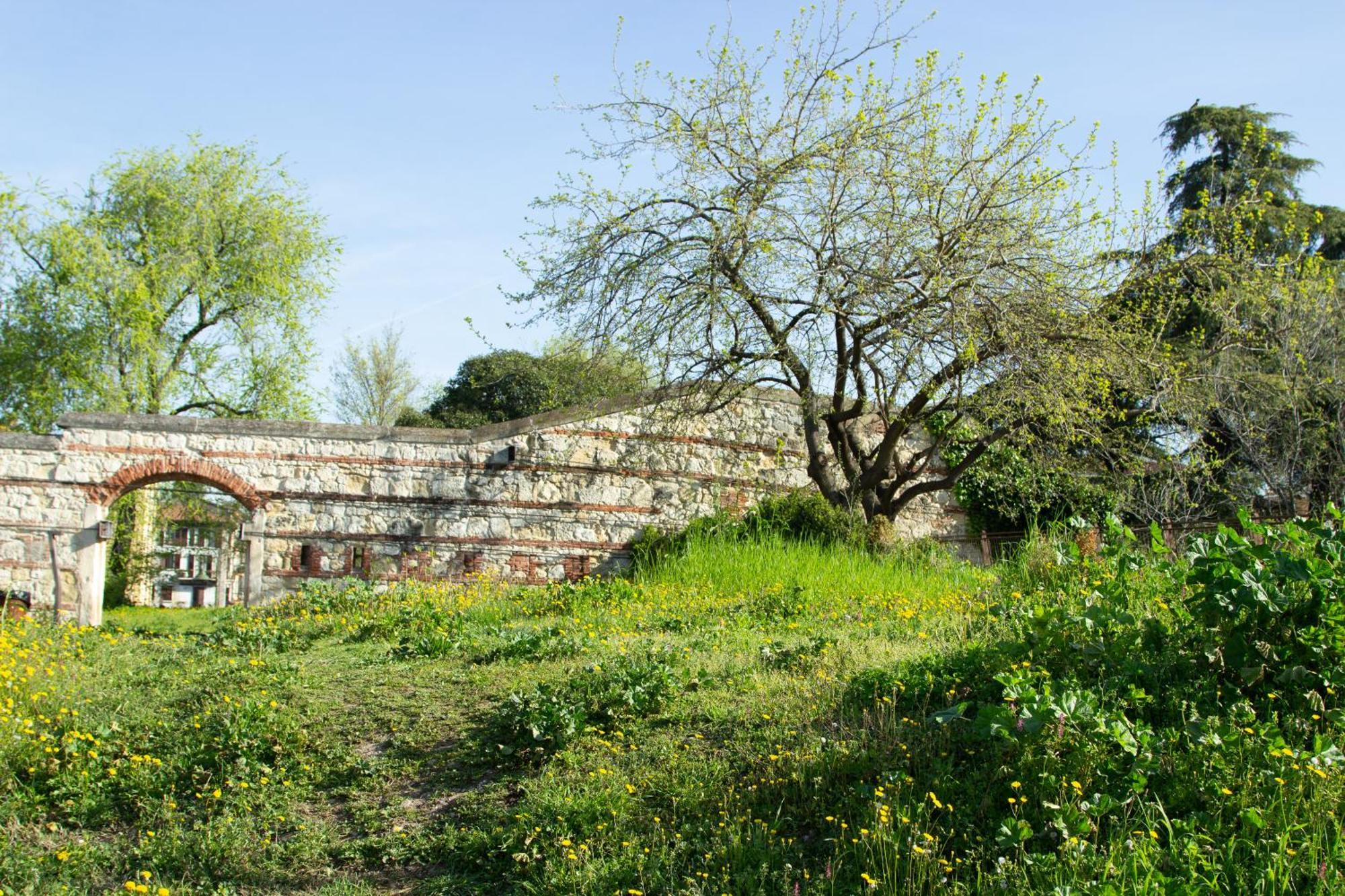 Verona Nest Buitenkant foto